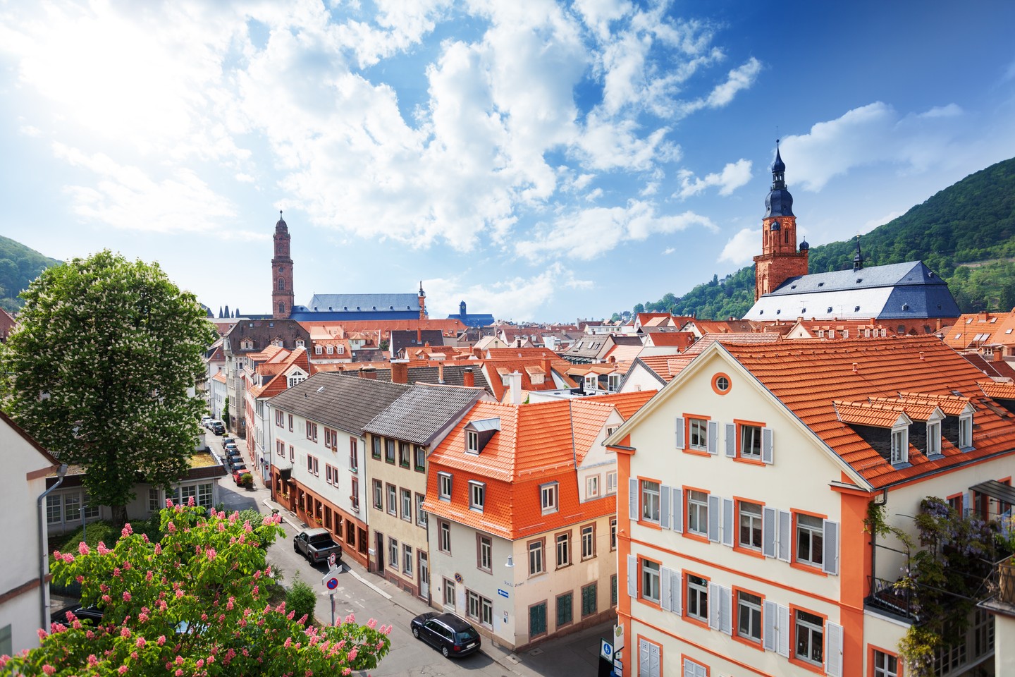 Ihr Experte für Verkauf und Vermietung von Immobilien in Heidelberg - Krebs Immobilien