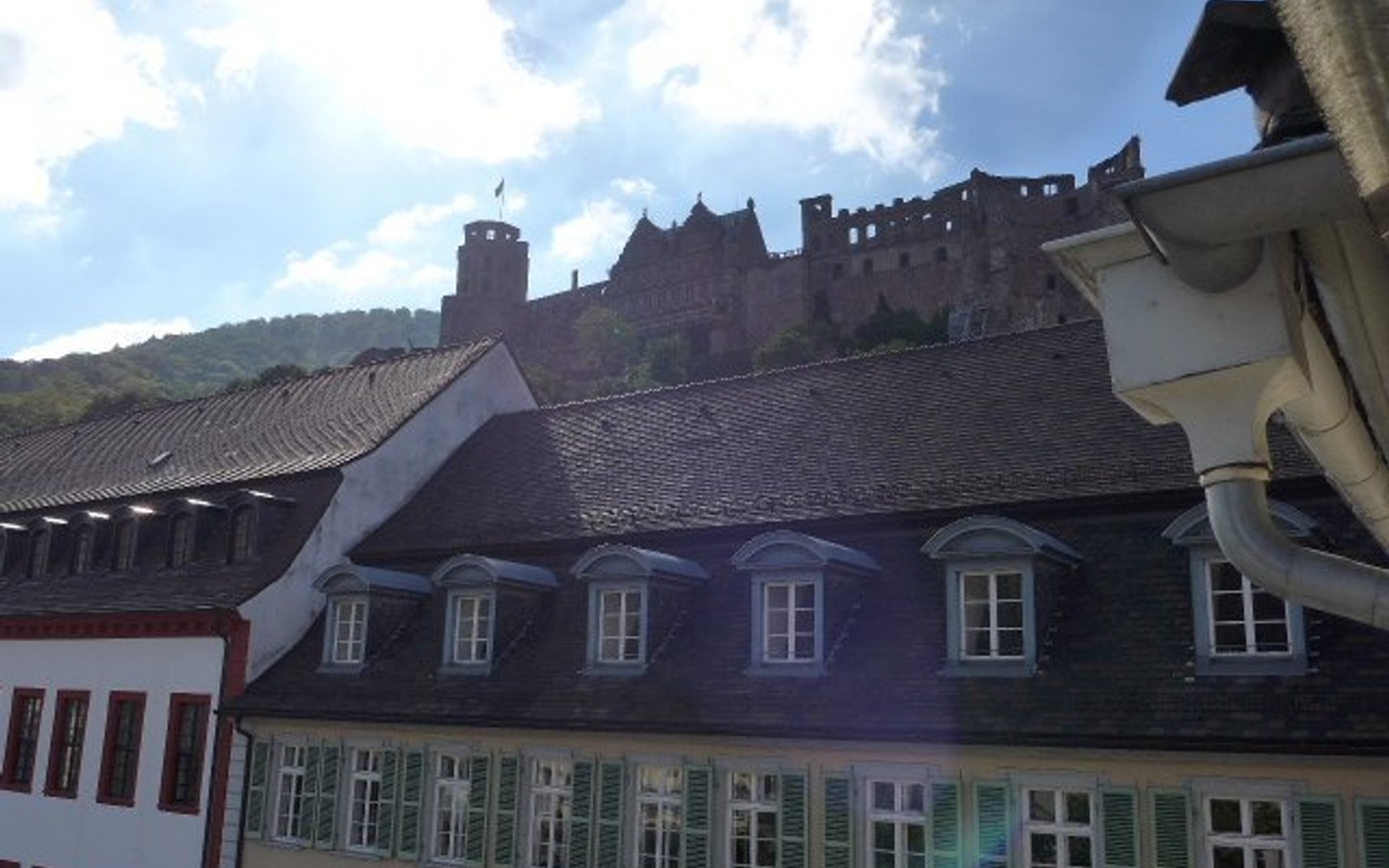 Blick zum Schloß - Heidelberg – Leben und Erleben in einer der besten und exponiertesten Lagen der Altstadt