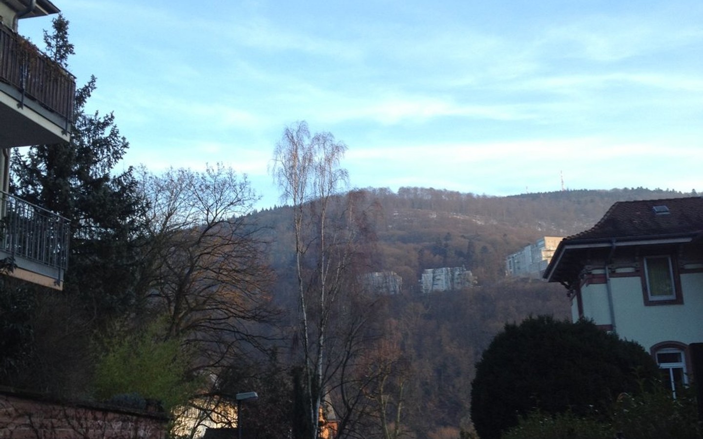 Ausblick - Heidelberg-Neuenheim: Großzügige 2,5 Zimmerwohnung mit Terrasse in der Hirschgasse