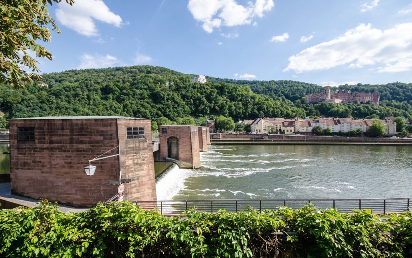 Blick vom Balkon - Einfach malerisch:  Wohnen am Neckar mit Schloßblick und eigenem Garten