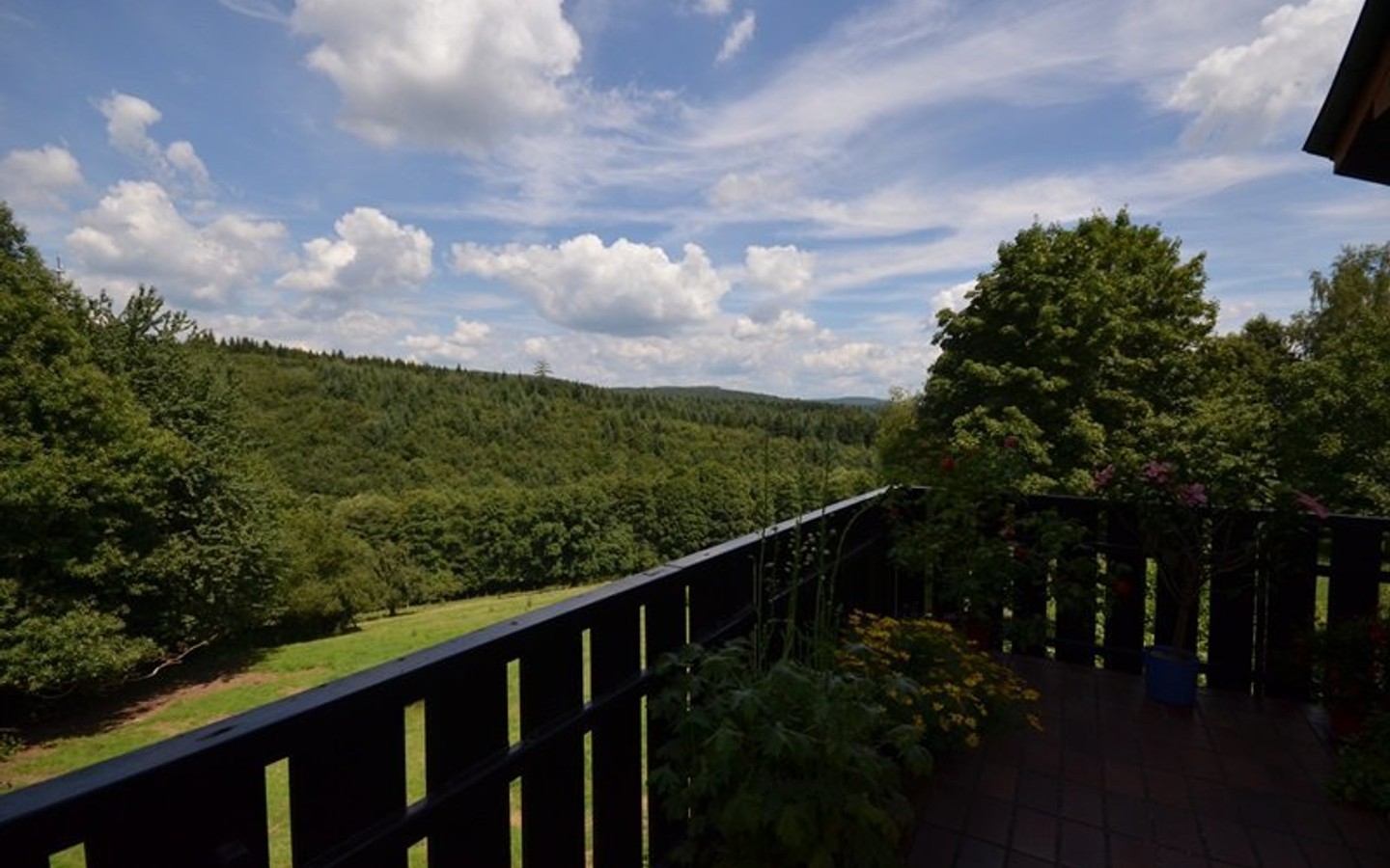 Ausblick vom Balkon - Gaiberg-Am Kirchwald: Wunderschöne 3,5-Zimmer-Maisonette-Wohnung in herrlicher Feldrandlage.