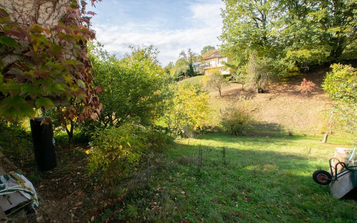 Blick in den Garten - HD-Ziegelhausen: Renovierungsbedürftiges Einfamilienhaus auf großem Grundstück
