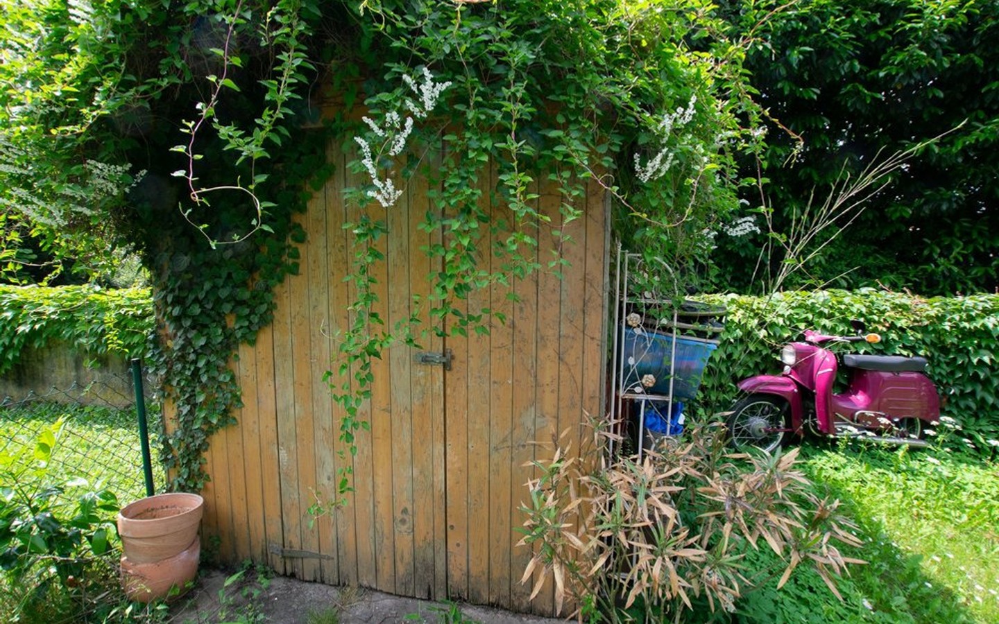 Gartenhäuschen - Tolle Gartengeschosswohnung in bevorzugter Wohnlage von Dossenheim