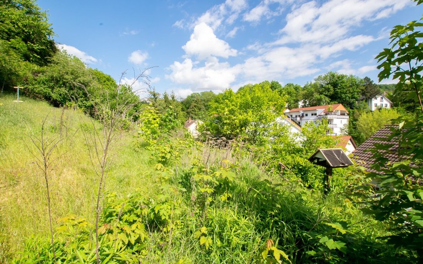Hintergarten - Leimen: Renovierungsbedürftiges Einfamilienhaus in idyllischer Aussichtslage