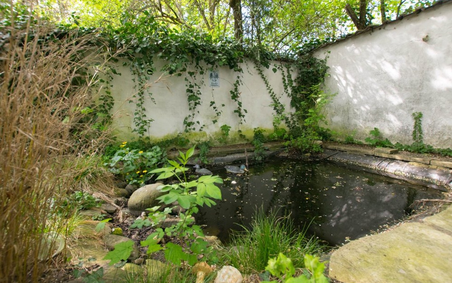 Teich im Garten - Bevorzugte Lage: Doppelhaushälfte mit Garten in der Schwetzinger Oststadt