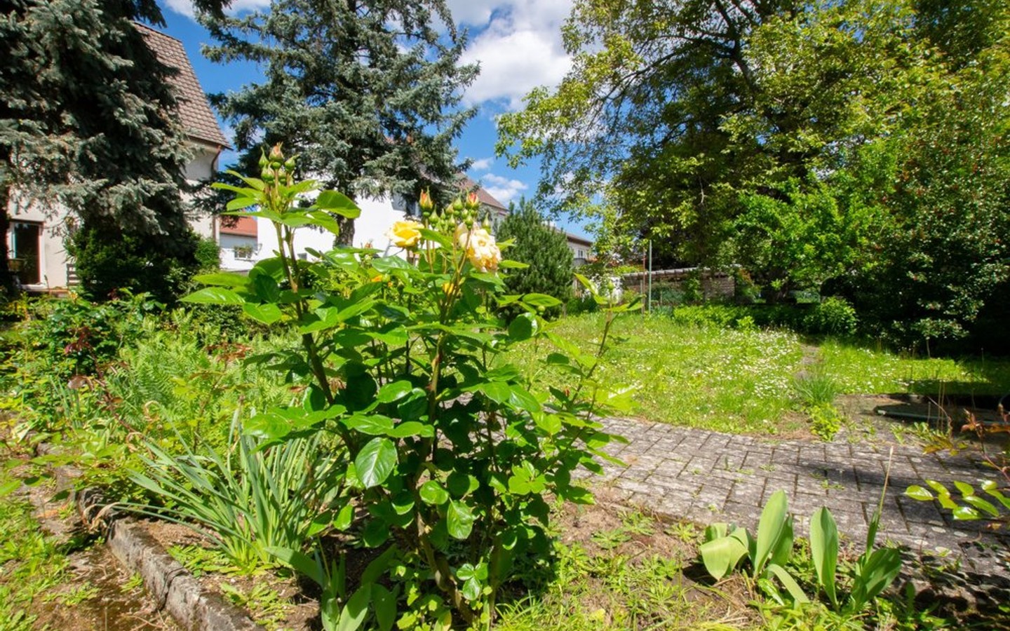 Garten - HD-Pfaffengrund: Renovierungsbedürftiges 3-Familienhaus auf parkähnlichem Grundstück