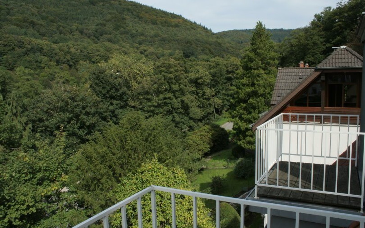 Ausblich Balkon Dachspitz - Handschuhsheim - Höhenlage - Heiligenbergstraße