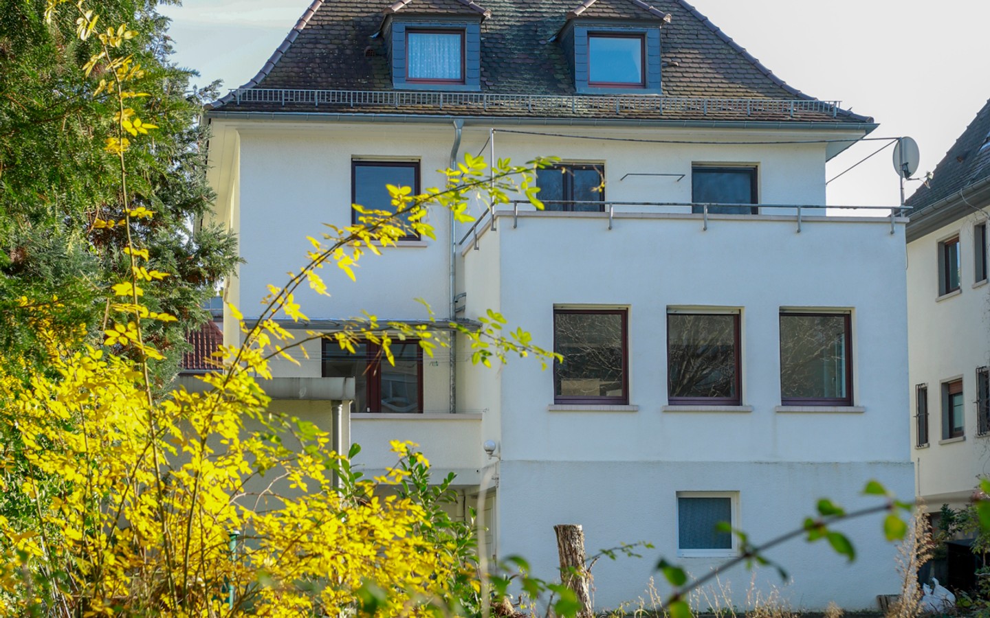 Hausansicht vom Garten  - Rarität: Freistehendes Einfamilienhaus auf ca. 700qm großem Grundstück in der Heidelberger Weststadt