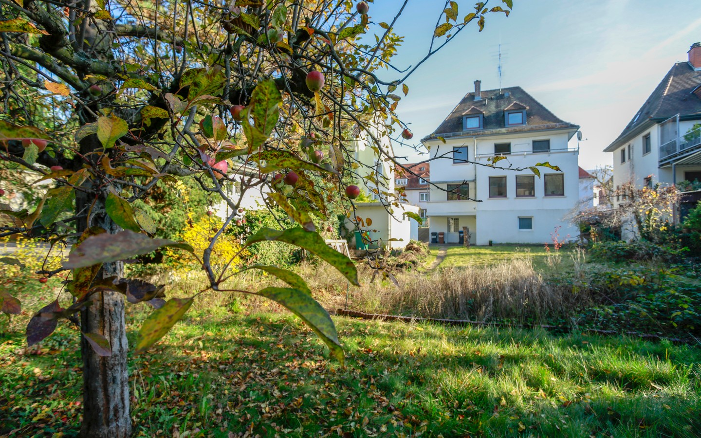 Gartenansicht - Rarität: Freistehendes Einfamilienhaus auf ca. 700qm großem Grundstück in der Heidelberger Weststadt