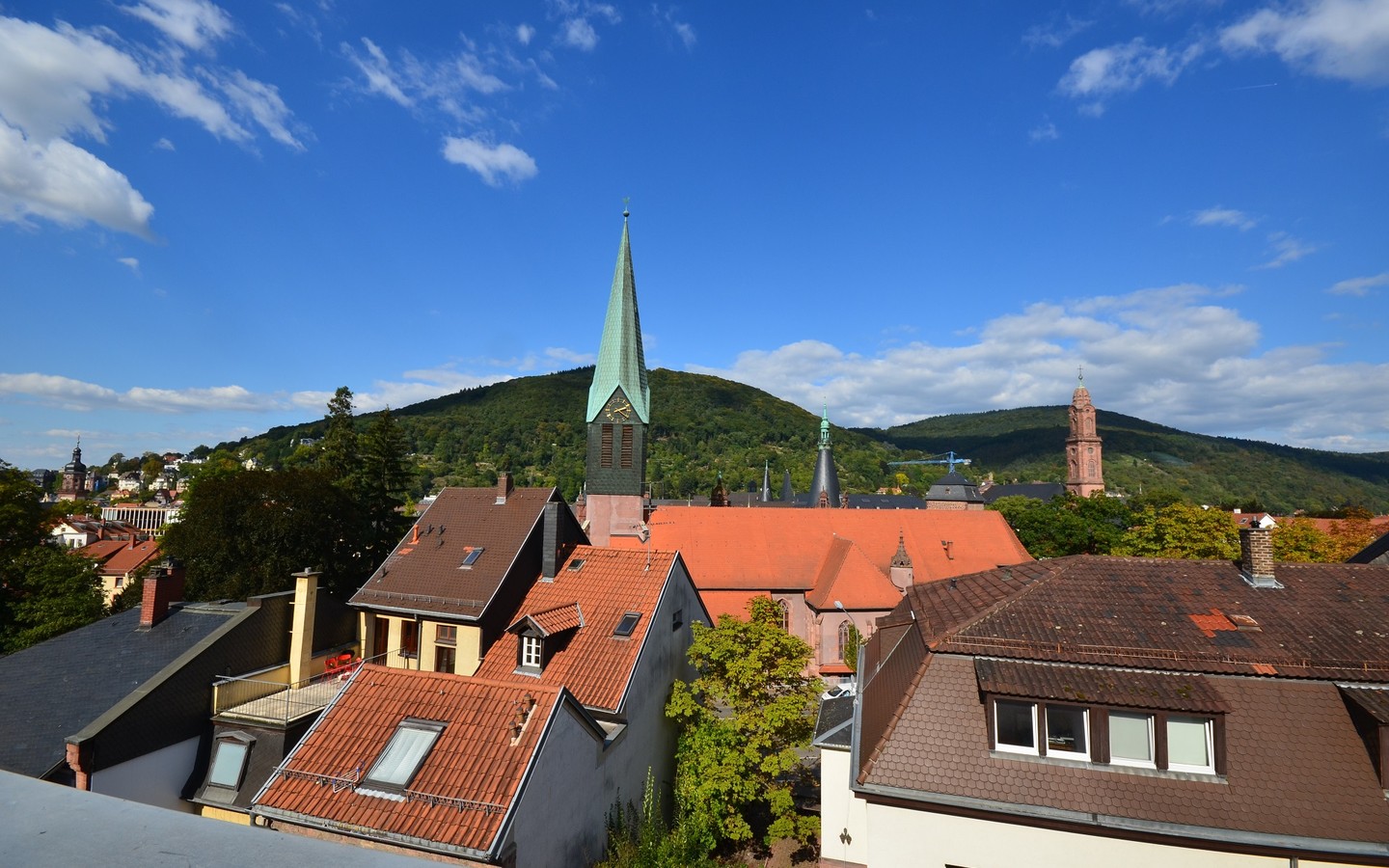 Panoramablick - Krebs Immobilien: Heidelberg-Altstadt: Dreizimmerwohnung mit Panoramablick