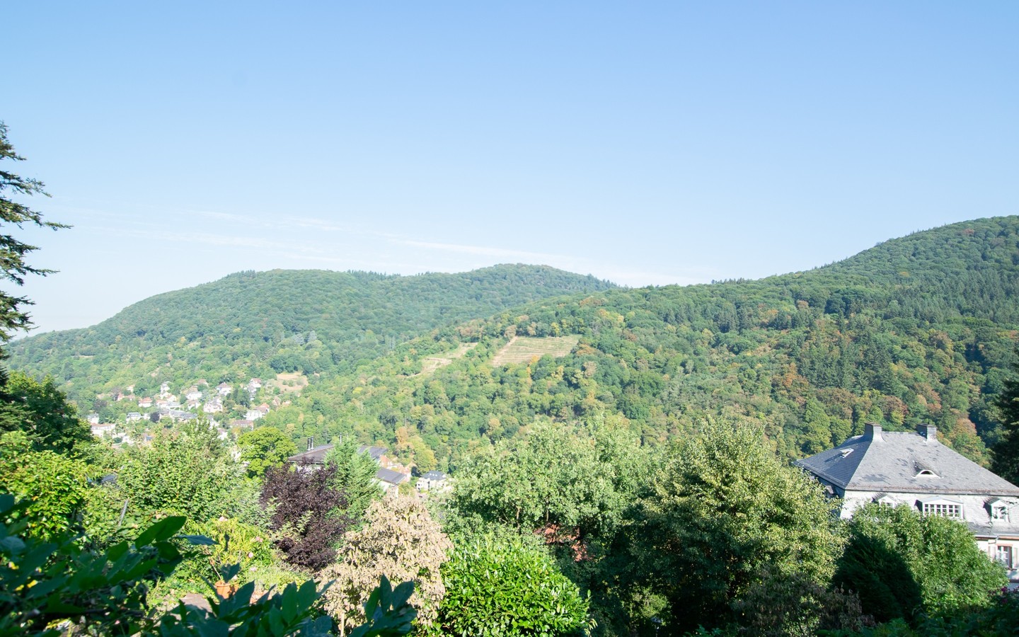 Blick vom Eckbalkon - Exklusive Lage in Heidelberg - Schlossnähe -