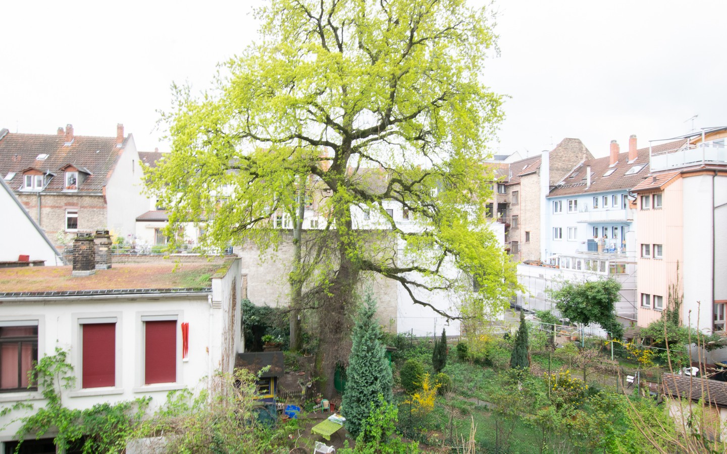 Ausblick - Seltene Gelegenheit: Tolles Mehrfamilienhaus mit Flair in der Weststadt