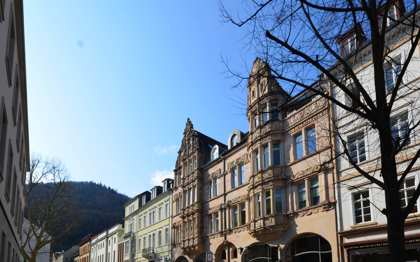 Straßenansicht - Im Herzen der Altstadt: Grandiose Fünfzimmerwohnung mit Balkon