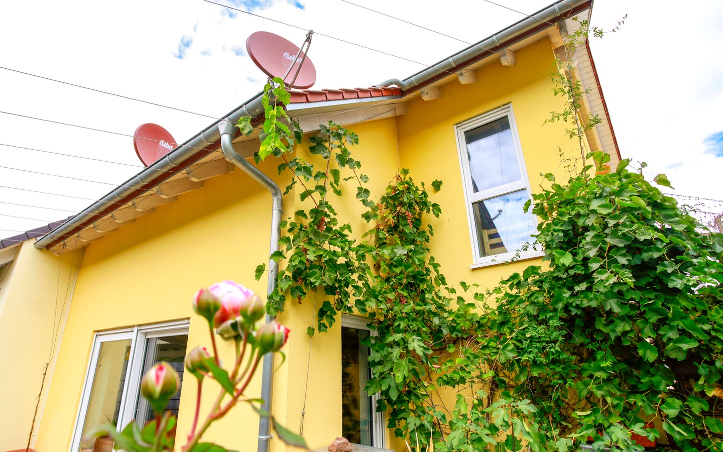 Außenbereich - Moderne und energieeffiziente Doppelhaushälfte zum Wohlfühlen in Bammental