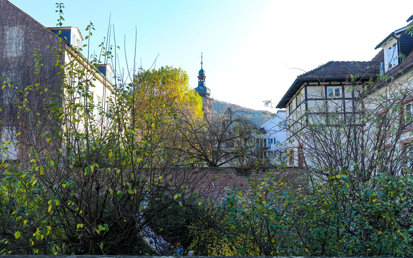 Aussicht  - Rohdiamant in der Heidelberger Altstadt: Sanierungsbedürftiges Haus in der Nähe der Stadthalle