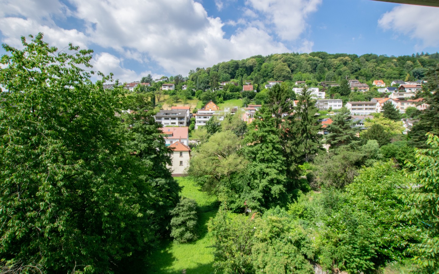Ausblick - Provisionsfrei: Geräumige 2-Zimmer-Wohnung mit malerischer Aussicht in HD-Ziegelhausen