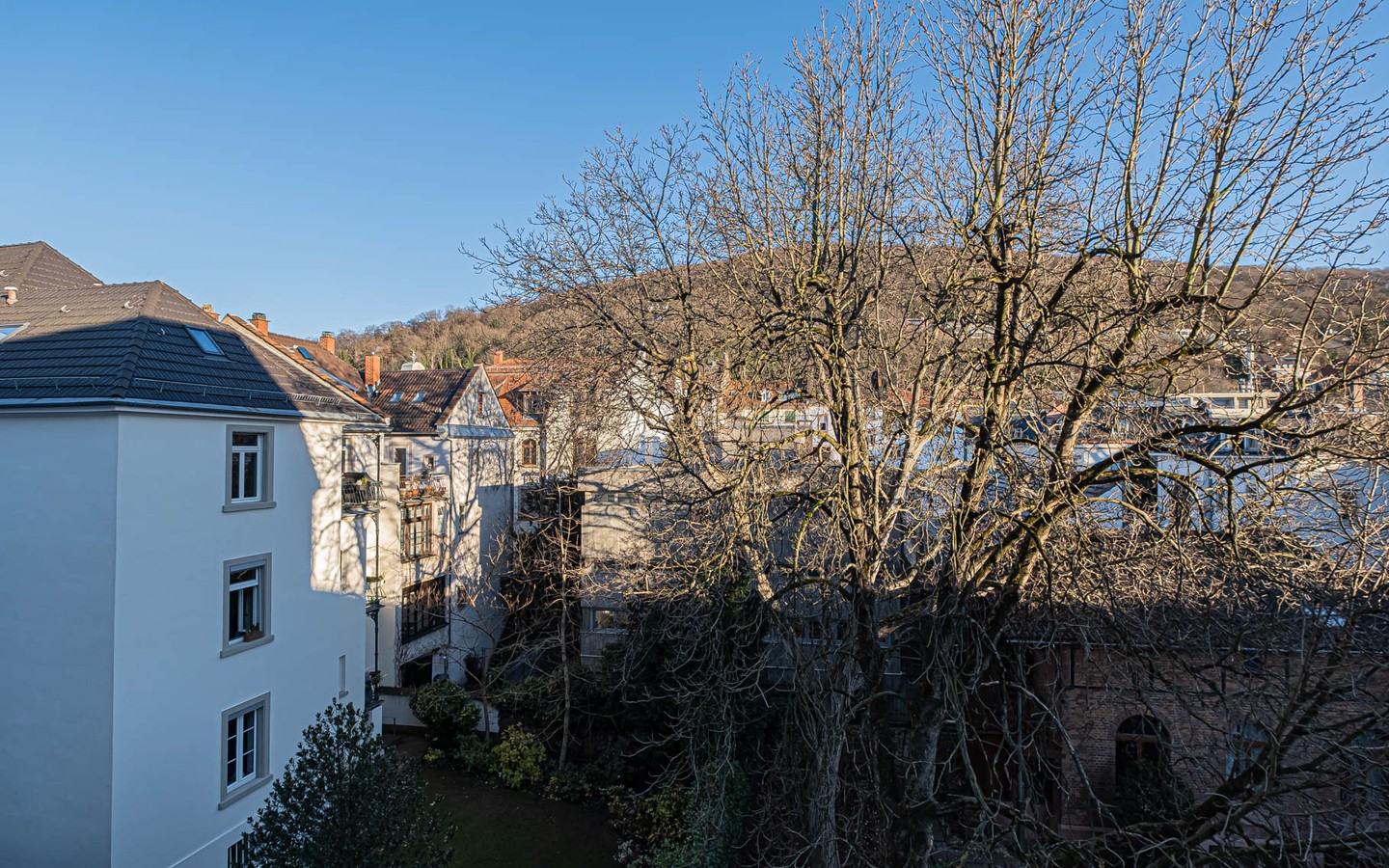 Ausblick - Grandiose Altbauwohnung in der Heidelberger Weststadt