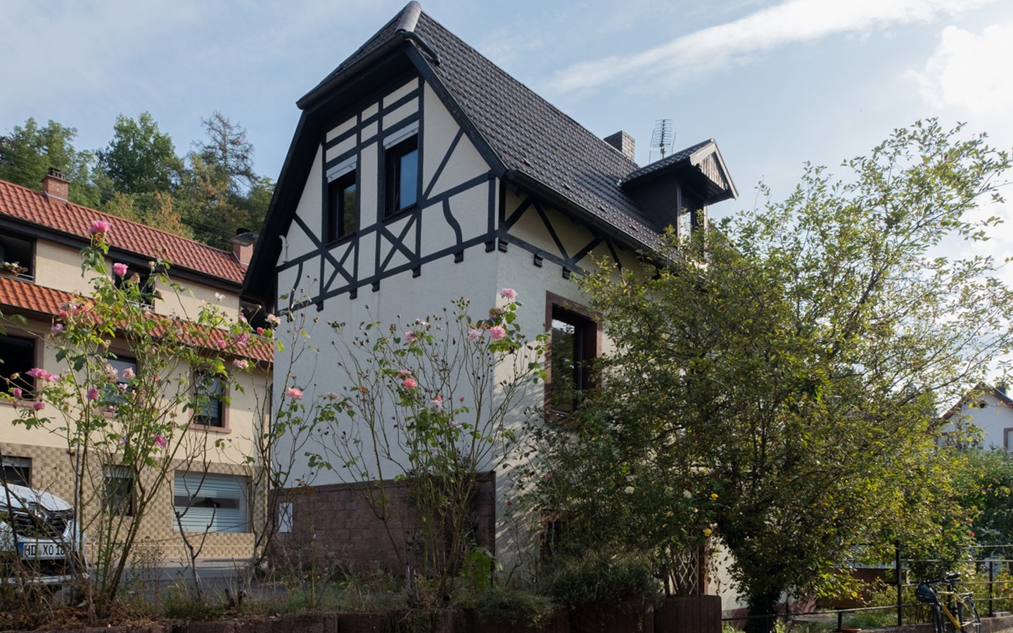 Ansicht rechts - Aus Alt mach Neu - ein Haus mit Garten harrt auf sein Comeback in Ziegelhausen