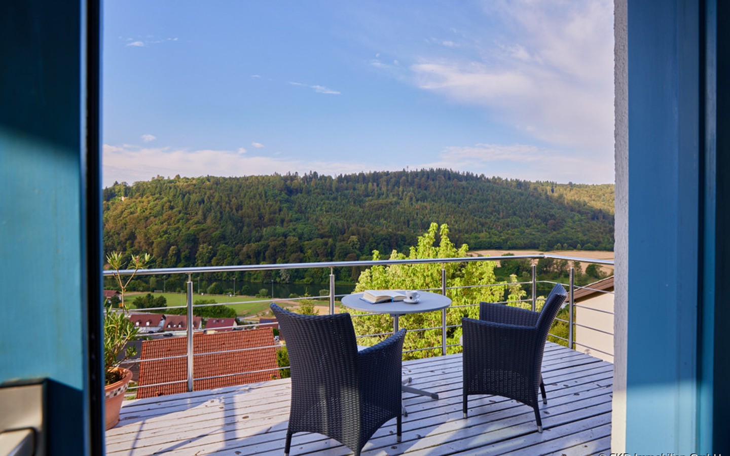 Genießen Sie die Sonnenuntergänge über dem Neckar - Neckargerach: Traumhaus mit atemberaubendem Neckarblick