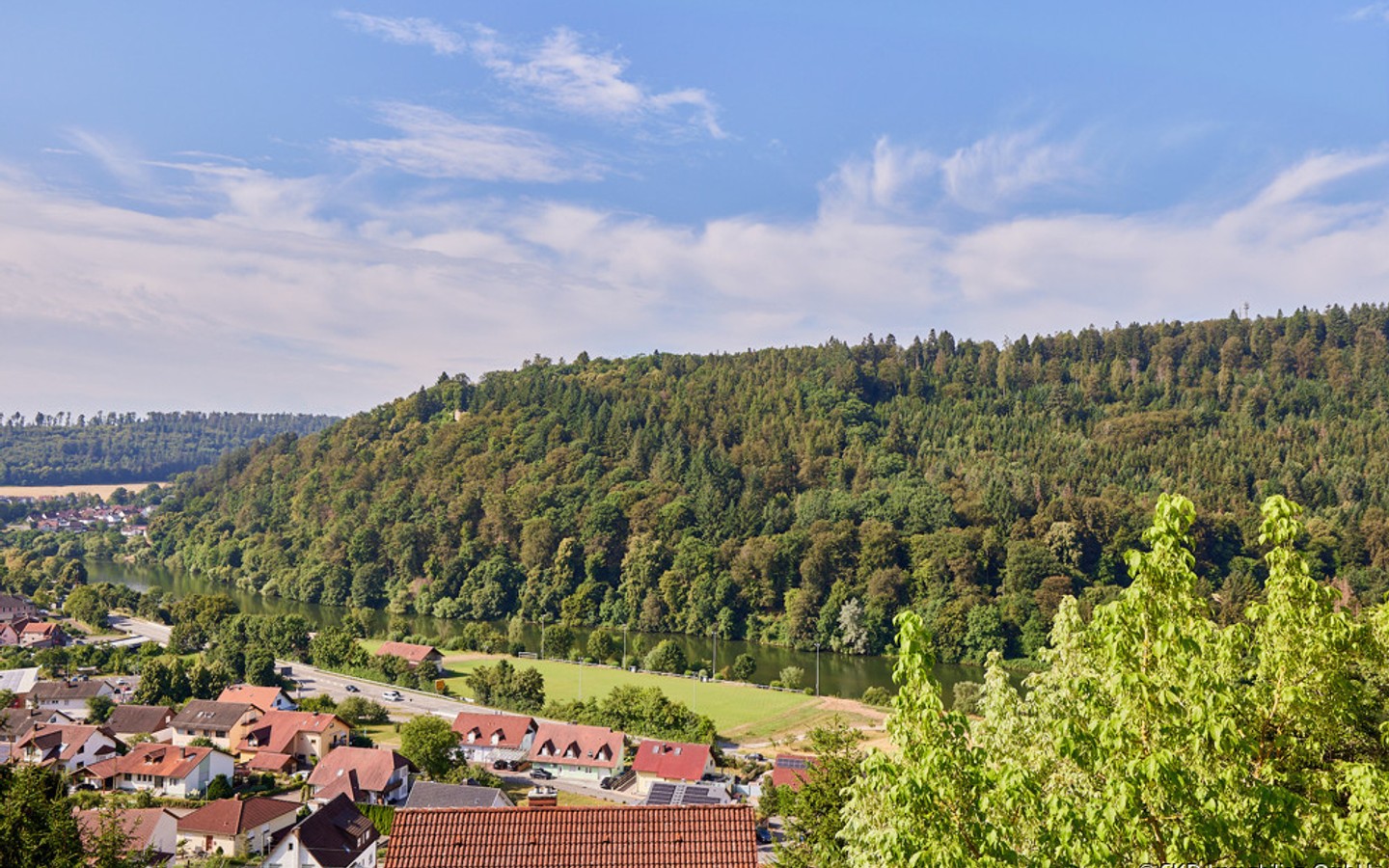 Von allen Wohnräumen haben Sie den Blick zum Neckartal - Neckargerach: Traumhaus mit atemberaubendem Neckarblick